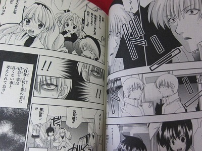 JAPAN Mario Kaneda Art Book Girls Bravo Illustrations