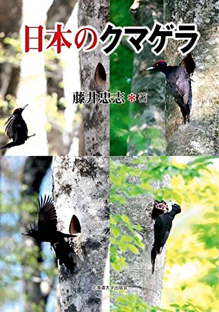 Japanese Black Woodpecker Japanese Bird Book Anime Art Book Online Com