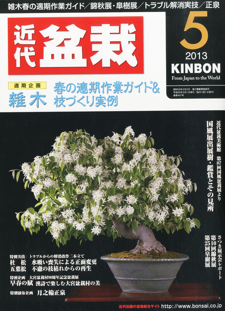 Kindai Bonsai 05 13 Japanese Bonsai Magazine Anime Art Book Online Com