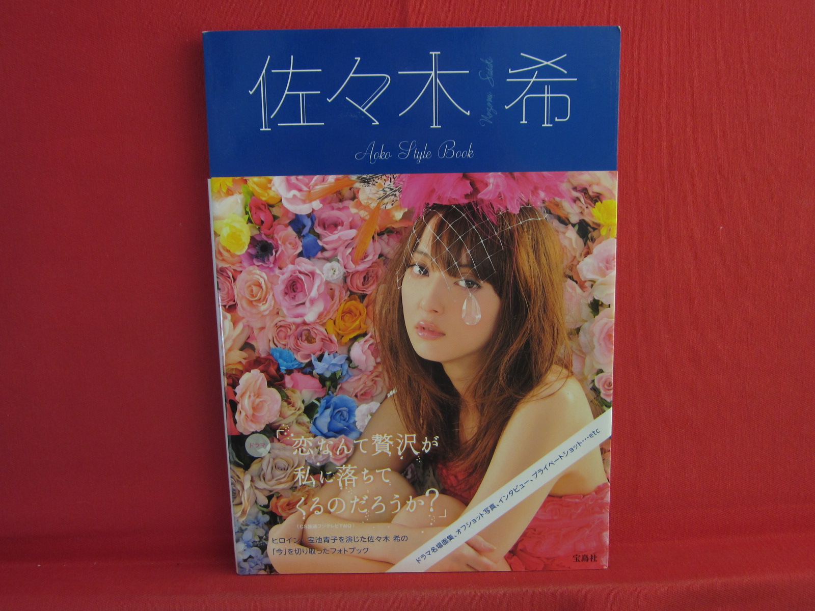 Nozomi Sasaki Aoko Style Book Photo Collection Book Anime Art Book Online Com