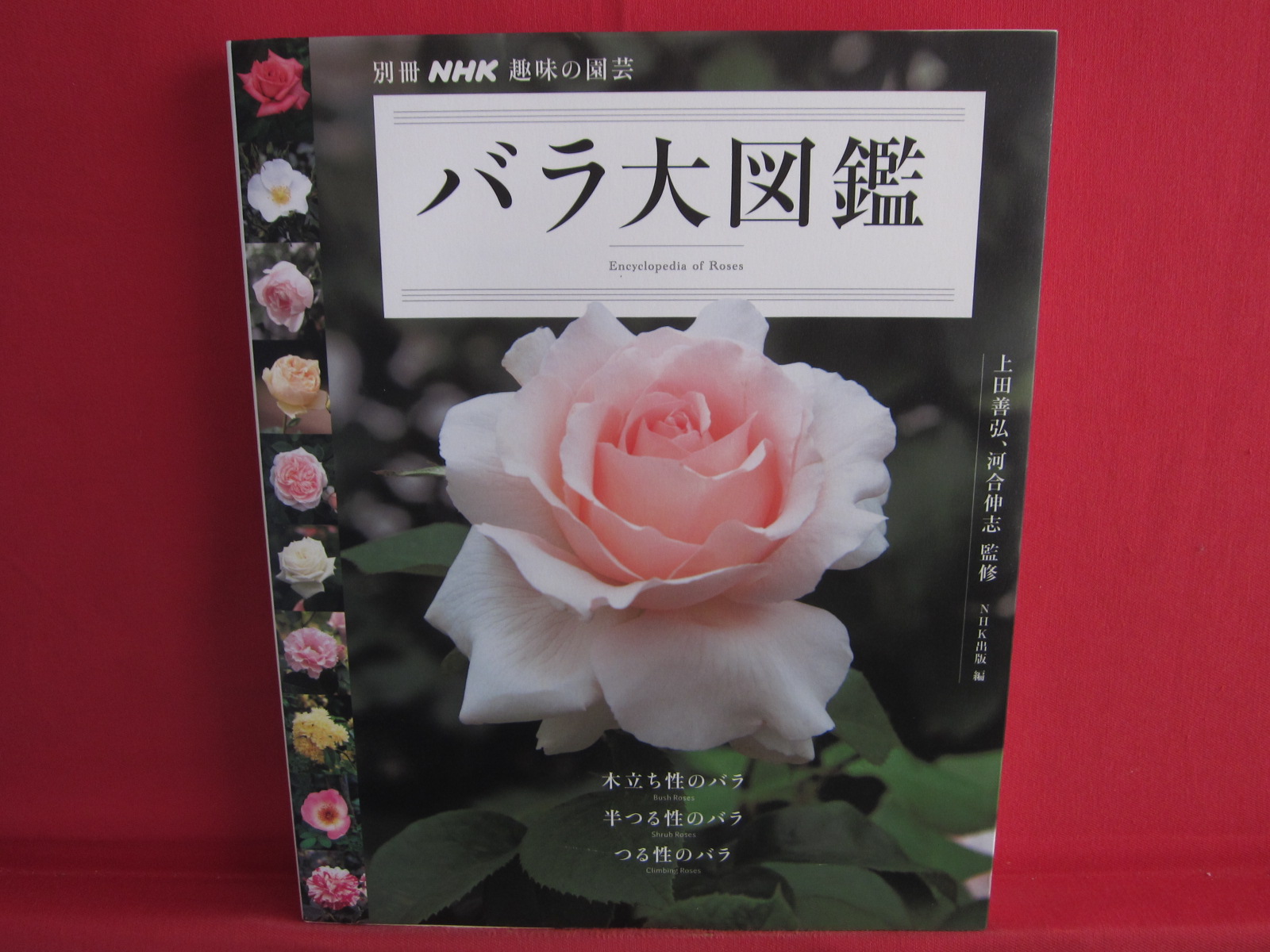 Rose Perfect Illustrated Reference Book Japanese Anime Art Book Online Com